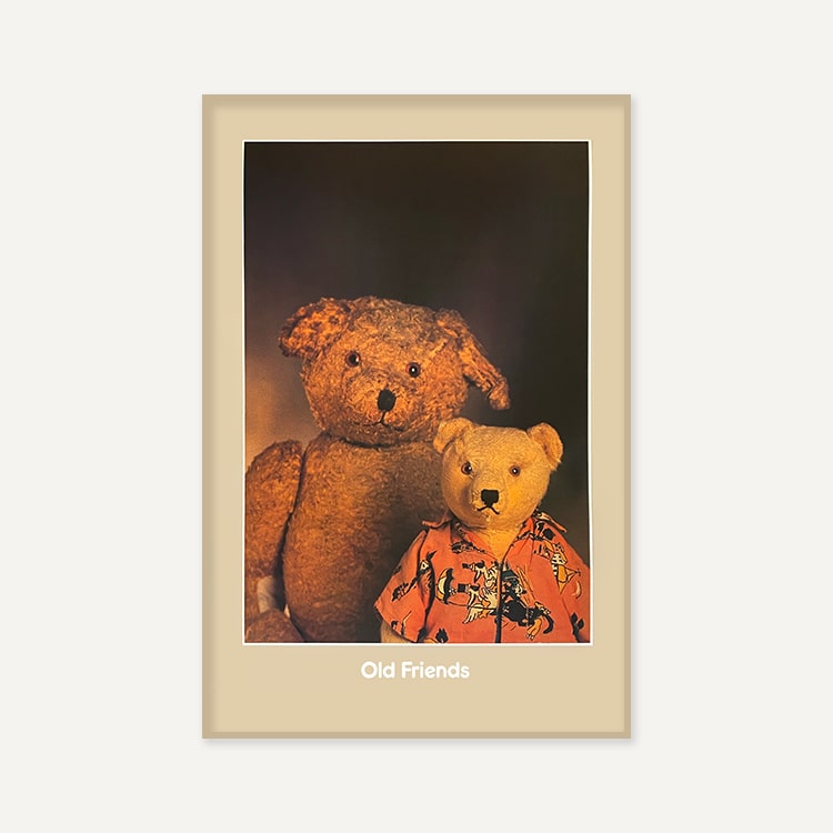 미르야 드 브리스 / Sunny Bears